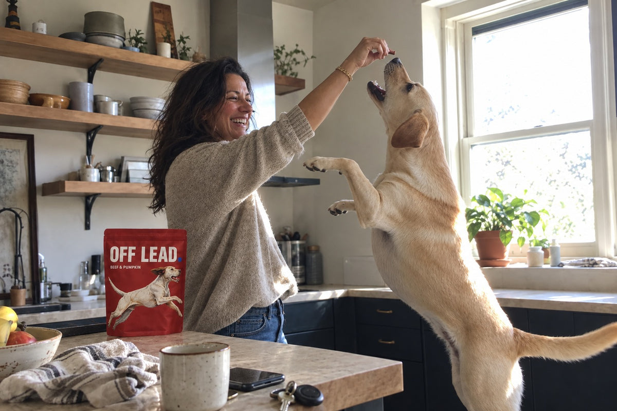 off lead meg 03 kitchen reg