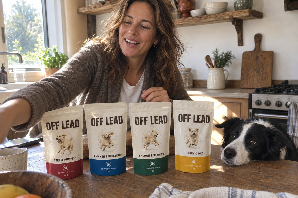 off lead meg tl 2026 reg