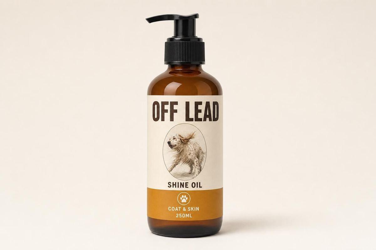 Shine Oil, the bottle
